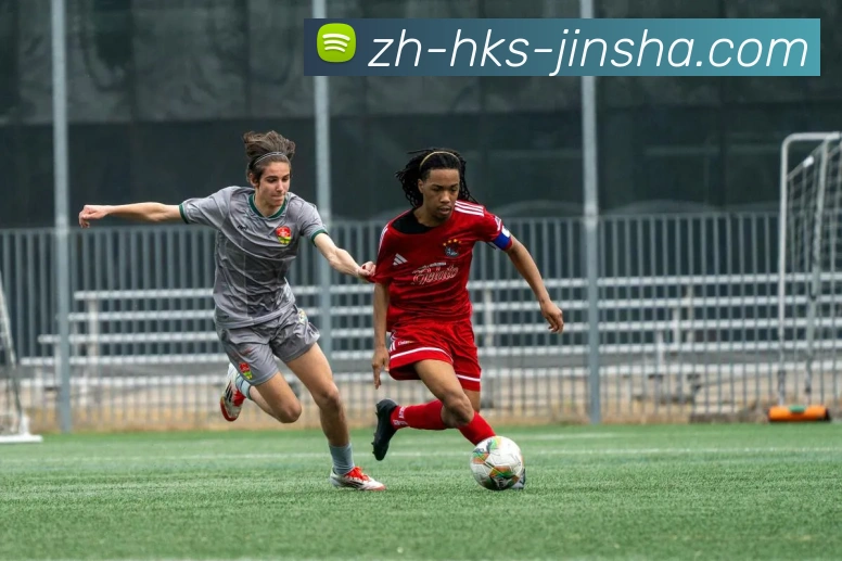 金沙官网平台生态图